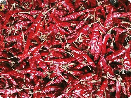 MP Chilli Teja (S17)